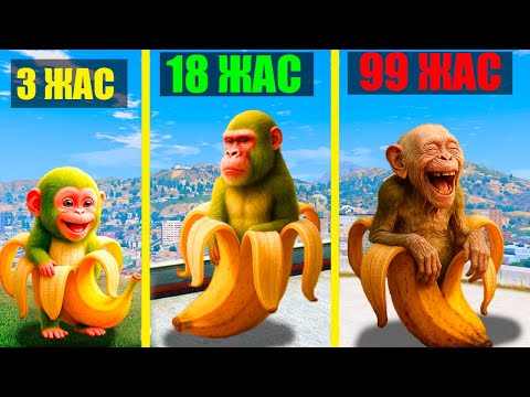 99 ЖАСТАҒЫ ШИМПАНЗИНИ БАНАНИНИ (GTA V)