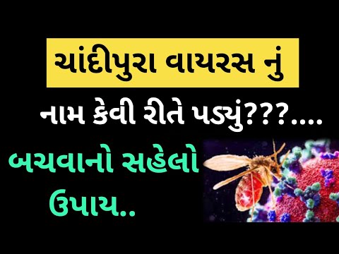 ચોમાસા માં આ 1 ફળ આવી રીતે ચૂસવાનું રાખો ચોમાસા મા રોગો નહિ થાય