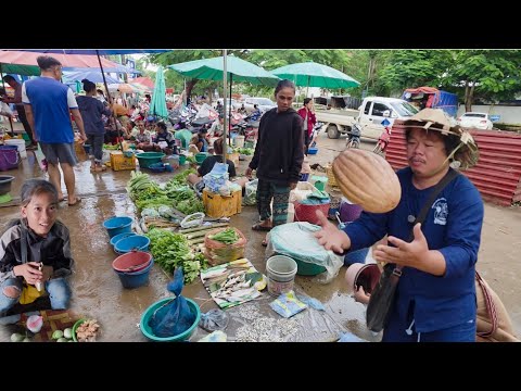 #เที่ยวลาวใต้ ตลาดเมืองสาละวัน อาหารธรรมชาติ #อาหารตามฤดูกาล เยอะมาก #วิถีชาวบ้าน #สาวลาว #สปปลาว 