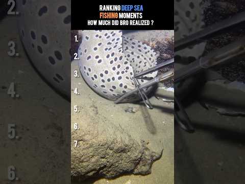 Ranking Deep Sea Fishing Moments pt.9 | How much did he earn ? #deepseafishing