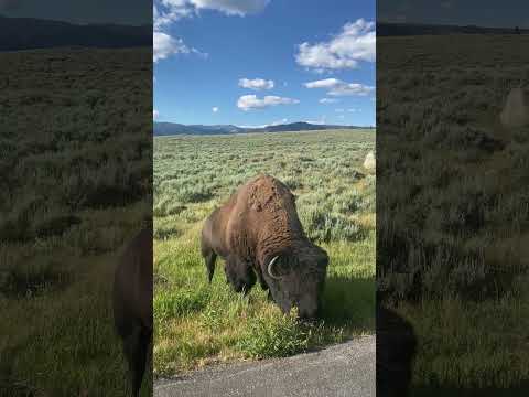 Wyoming - 26 july ‘24
