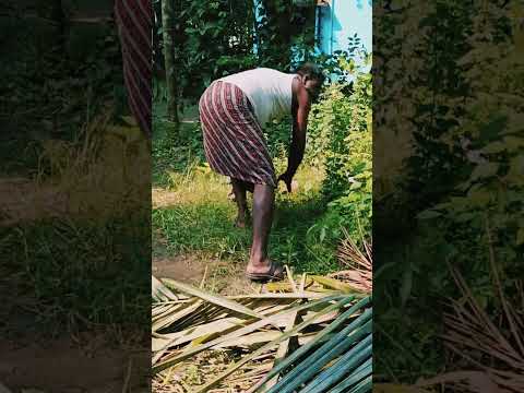 Real Magic 2025 #shorts #funny #bangladesh #comedy #comedyvideos #magic#trending #shortsfeed