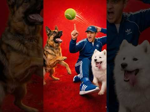 Suscribete si soy inteligente 🐶 #shorts #dogs #cutedog - choco dogger