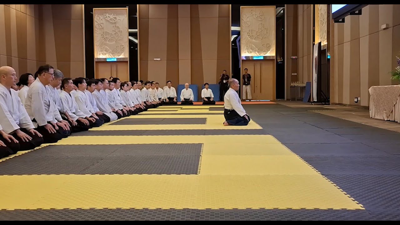 Low Sensei Aikido Session | MAA 30th Anniversary Seminar 2025