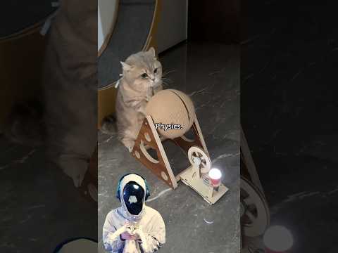 Cat Energy Generator #test