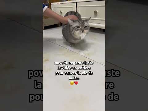 1 Abonnement = 1 chance de survie 🙏