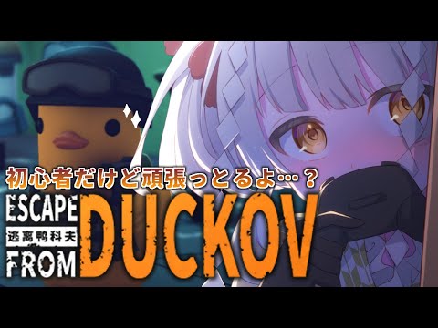 thumbnail_BlSHhAl7kQ4