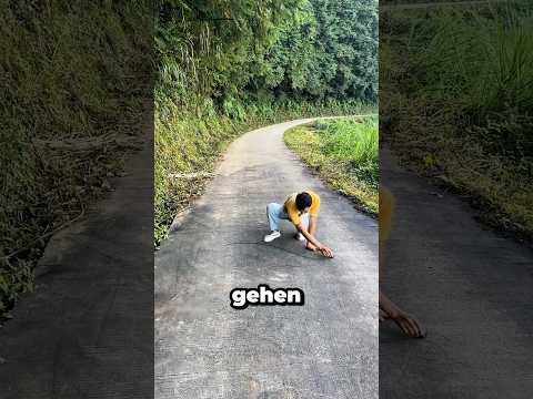 Die geniale Idee des Vaters, um die Hunde vom Schulweg zu vertreiben ! 😱