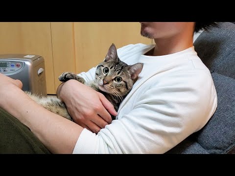 カギしっぽ猫のビビの最新動画 Youtubeランキング