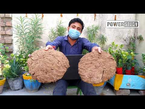 गोबर के उपलों के फायदे 🔥| morning lung exercises | #Powerstudy #CowDung