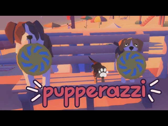 Pupperazzi - At the beach Part 3 of 3