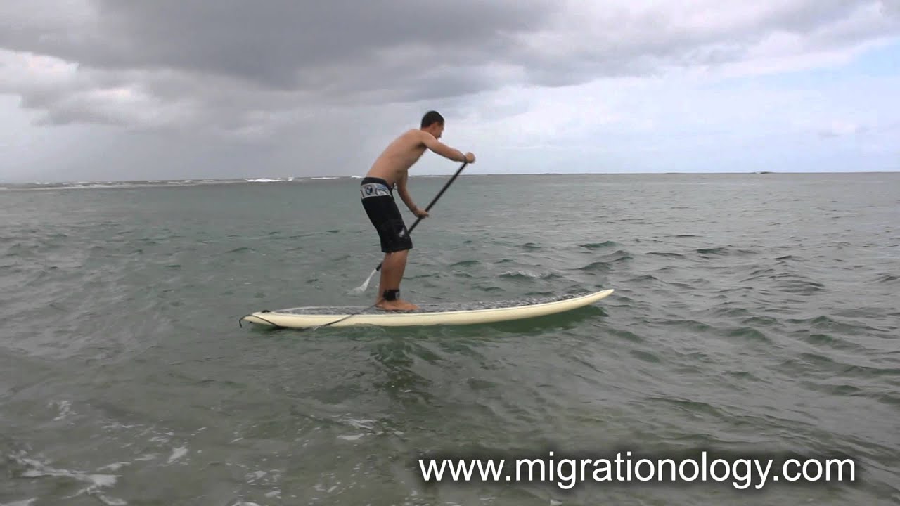 Paddleboarding on the North Shore of Oahu, Hawaii