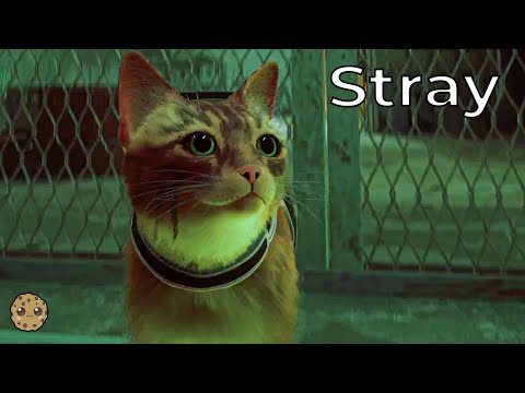 Stray Cat Part 5