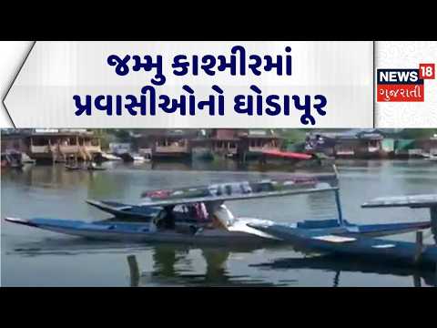 Jammu Kashmir News | જમ્મુ કાશ્મીરમાં પ્રવાસીઓનો ઘોડાપૂર | Tourist News | Crowed | Gujarati News