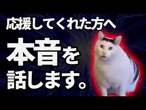 なぜ政治の動画をやめたのか──正直にお話しします