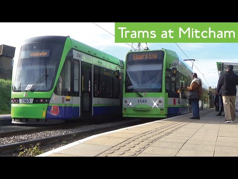 Trams At Mitcham (London Trams)