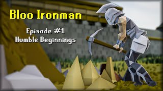 Bloo - Ironman Progress Vid #1