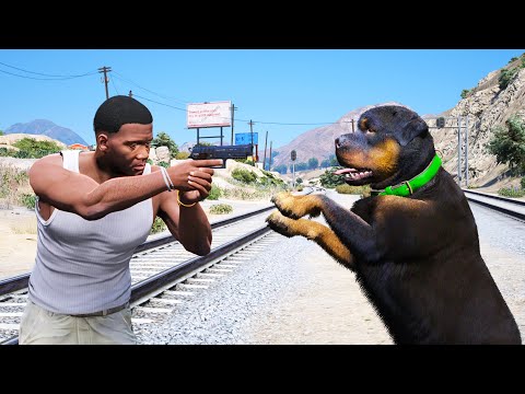 FRANKLIN ROBBING CHOP in GTA 5