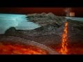 Geological Features of White Island and the Pacific Ring of Fire