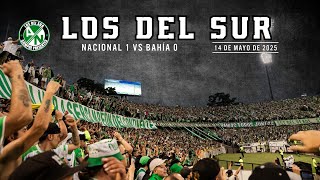 Los Del Sur, Fiesta en la Popular del Atanasio (Nacional Vs Bahia) 14/05/2025