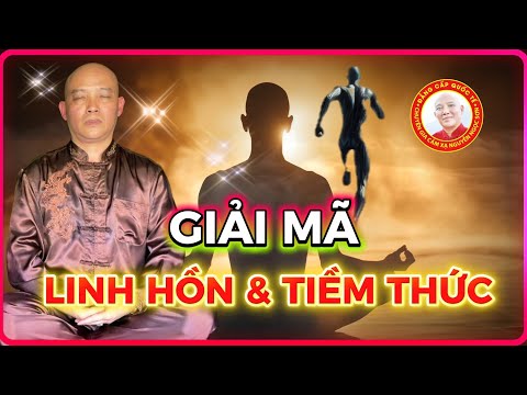 Tiềm Thức và Linh Hồn Xuất Hiện Từ Khi Nào? | Chuyên Gia Cảm Xạ Nguyễn Ngọc Sơn