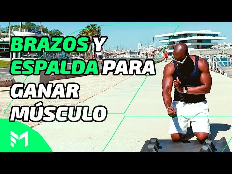 Día 7 • Brazos Marcados & Espalda Ancha | Avanzado con Mancuernas