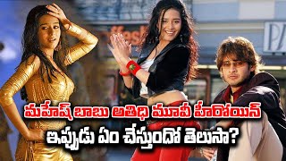 మహేష్ బాబు అతిధి మూవీ హీరోయిన్ ఇప్పుడేం చేస్తుందో తెలుసా ? #maheshbabu #AmritaRao