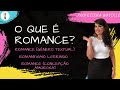 Características e Definições do Romance