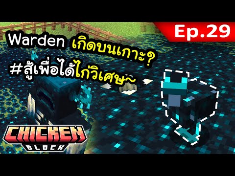 ไก่ Warden สุดโหด?! EP. 29 | โลกนี้มีแต่ไก่ Chicken Block