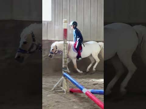 Having some vaulting fun with my best girl Gabby. Two down the long side. #horse #equestrian #pony