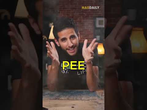 23 Minutes of Pavin Suakham's Most Viral Videos!