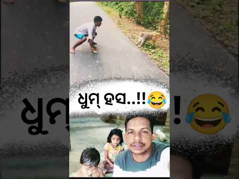 Monkey Man Fun..!😂 ଧୁମ୍ ହସ..!!🤣 Entertainment 🥰 Monkey Prank 😀#viralshort #funny #trend #fun