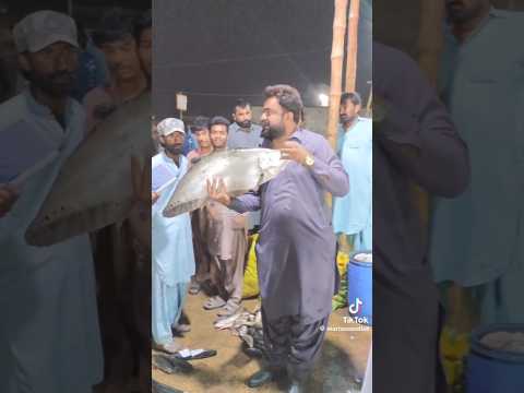 chetal fish mandi] Gulshan hadeed]
