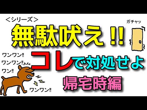 【犬 しつけ 無駄吠え】無駄吠えはコレで対処してください！帰宅時の吠え編 犬のしつけエマチャンネル【犬のしつけ＠横浜】