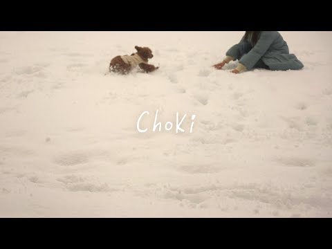 ポチと雪遊び | Playing in the Snow with Pochi.