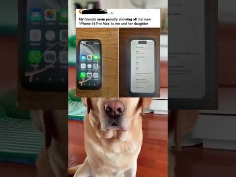 #memes #story #dog #shorts #pets