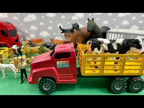 PLAYING AT TRANSPORTING FARM ANIMALS / BRINCANDO DE TRANSPORTAR OS ANIMAIS DA  FAZENDA