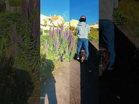 Biarritz en gyroroue