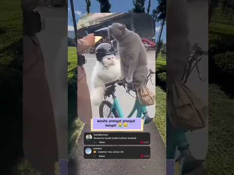 kebanyakan sifat cewek kayak gini fix no debat‼️