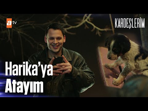 Oğulcan ve minik arkadaşı 🐶 - Kardeşlerim 42. Bölüm