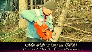 Mei Leb´n long im Wold 🪗🎺🎸