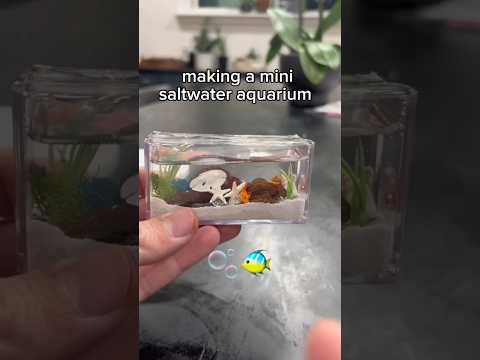Let’s make a mini aquarium