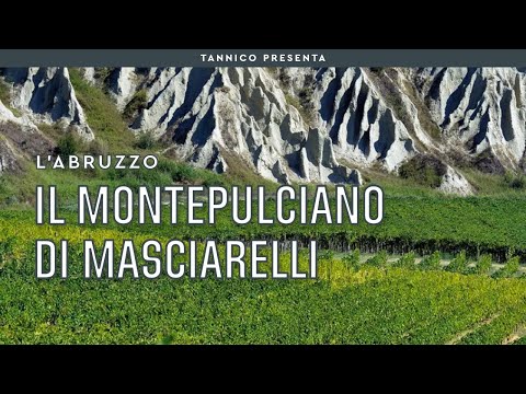 Gianni Masciarelli e il Super Montepulciano | Tannico