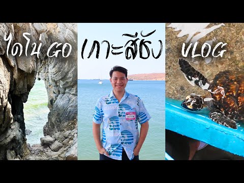 ไดโน่GOเกาะสีชังVLOG