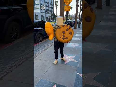 What would you do if you saw this ?