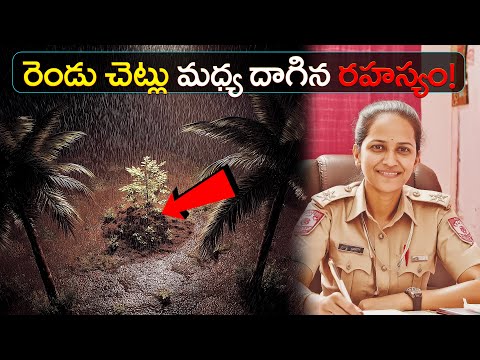 కొబ్బరి చెట్ల మధ్య దాగిన దారుణం! | Hidden Between Two Coconut Trees – A Chilling Crime!