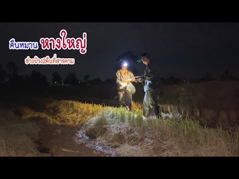 EP1 ฮ่างบ้วง 2 คืนที่มหาสารคามหมายหางใหญ่