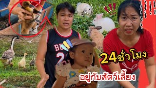 24ชั่วโมงอยู่กับสัตว์เลี้ยงและะต้อนรับสมาชิกใหม่ #เลี้ยงเป็ด #เลี้ยงห่าน #เลี้ยงกระต่าย #ฮันนาห์
