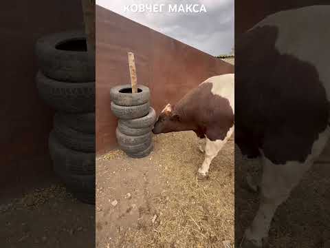 8 октября 2025 г.