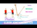 Kinematic Chains and Joint Movements